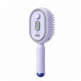 Plovera Electric Spray Air Bag Massage Comb