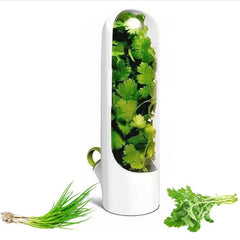 Plovera Transparent Vegetable Storage Container