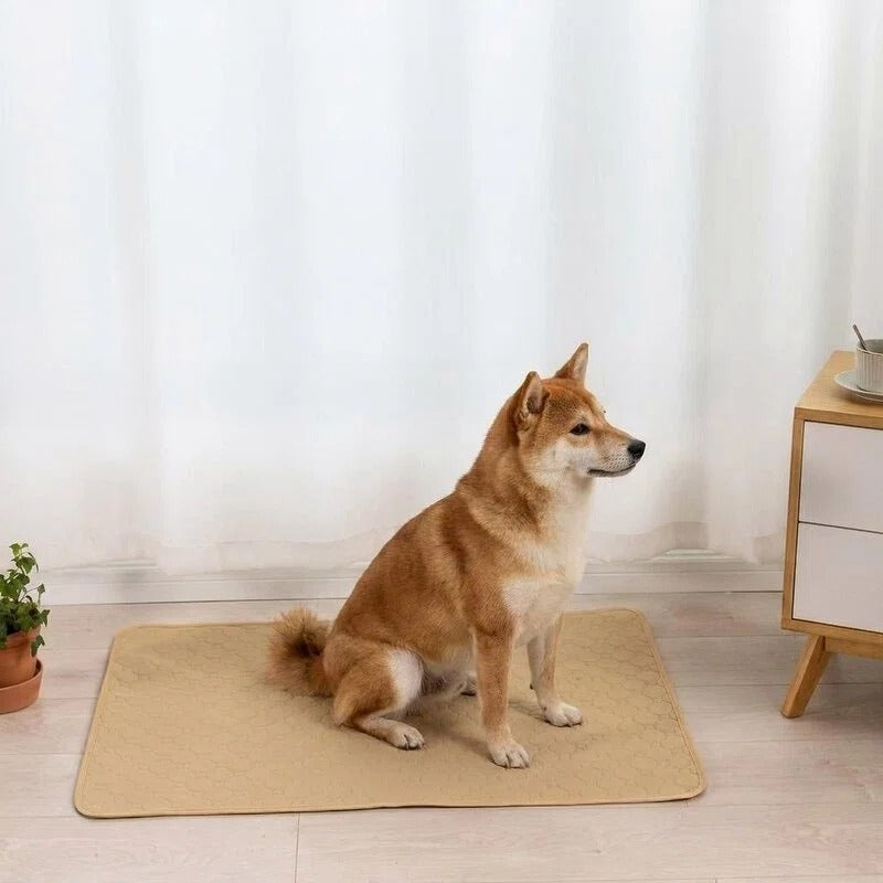Plovera Washable Reusable Pet Pee Pads