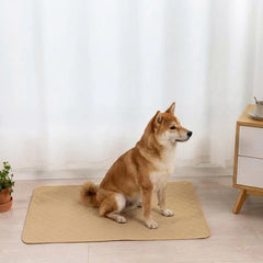 Plovera Washable Reusable Pet Pee Pads