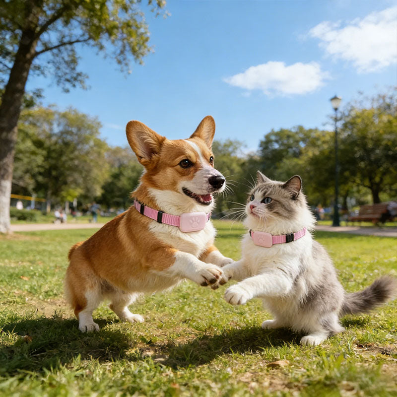 Plovera Real-Time GPS Pet Tracker Collar