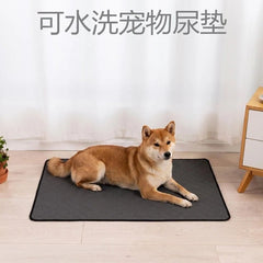 Plovera Washable Reusable Pet Pee Pads