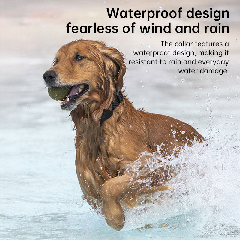 Plovera Real-Time GPS Pet Tracker Collar