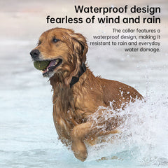 Plovera Real-Time GPS Pet Tracker Collar