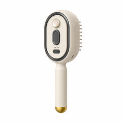 Plovera Electric Spray Air Bag Massage Comb