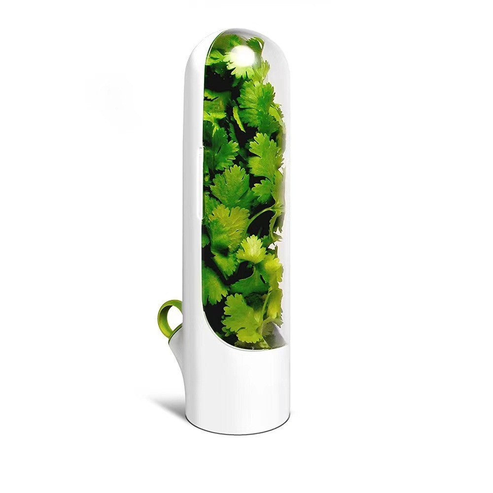 Plovera Transparent Vegetable Storage Container