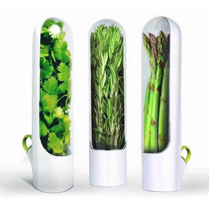 Plovera Transparent Vegetable Storage Container